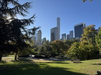 Morgenspaziergang im Central Park