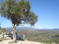 Blick von Mykene