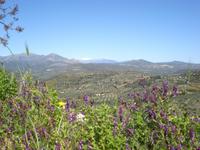 Landschaft bei Mykene