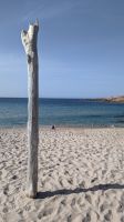 20-traumhafter Strand.jpg