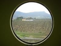 Blick auf Weinberge Nemea