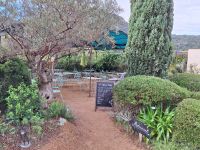 20241017_100558, im Parc de Saleccia.jpg