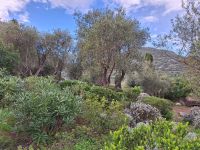 20241017_102036, wie viele Gärtner hier wohl arbeiten?.jpg