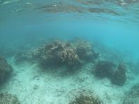 Schnorcheln vor La Digue