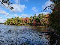 Spaziergang am Hardy Lake