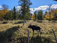 Eindrücke Omega Wildpark
