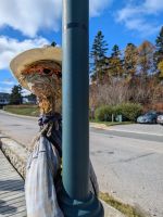 Eindrücke Tadoussac