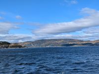 Eindrücke Walbeobachtungs-Schifffahrt