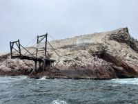 Ballestas Inseln