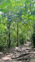 Parque Nacional Tikal, Flores, Peten, Guatemala