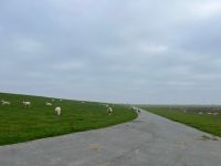Deichbewohner