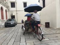 Rikschafahrt durch Penang