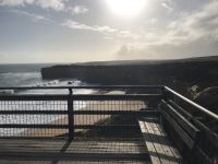 068E00E4-0949-4C02-B190-73C3551BFBB9