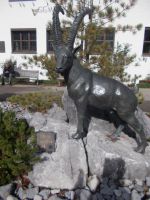 DSCN9554.JPG  in Riezlern grüßt der Bock