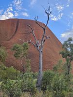 Kuniyas Spuren im Fels