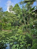 Botanischer Garten Singapur