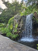 Botanischer Garten Singapur