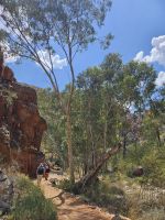 Wanderung zu einer Schlucht