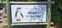 21 Boulders Beach und Pinguine