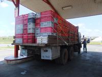 Eiertransport in der cubanischen Hitze