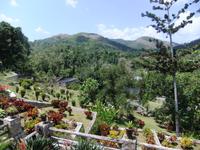 Orchideengarten von Soroa mit Blick auf das Vinales Tal