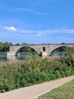 Avignon 