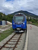 Pinienzapfenzug 