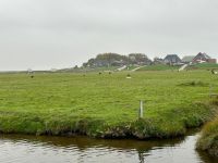 die Hanswarft
