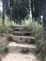 Wanderreise am Gardasee 16.10.2024  - Wanderung auf dem Monte Brione