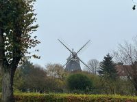 Windmühle auf Föhr