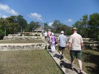 Kaffeeplantage Buenavista