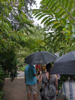 25. Botanischer Garten Singapur