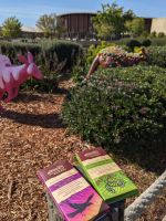 52. Chocolaterie, Great Ocean Road, Australien