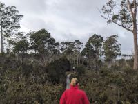 111. Cradle Mountain Resort, Tasmanien