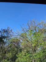 165. Stadtrundfahrt Adelaide, Australien