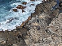 241.  Admirals Arch, Kangeroo Island, Australien