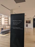 281. Bibliothek von Adelaide, Australien