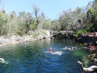 Zynote an der Schweinebucht