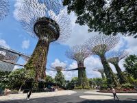 Tag 3 - Gardens by the Bay