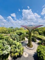 Tag 3 - Gardens by the Bay