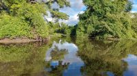 Auf der Suche nach Tieren beim Bootsausflug im Pantanal. Foto: Anette Rietz