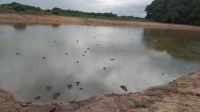 Ein See voller Kaimane im Pantanal bei unserer Safari im Jeep. @Anette Rietz