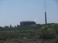 Zuckerrohrfabrik