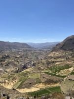 Terassen im Colca Tal