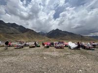 Stände mit Alpaka Produkten