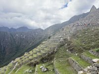 Terrassen in Machu Picchu