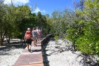 Seychellen - Curieuse (11)