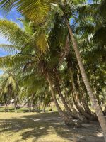 Seychellen -  Grand Soeur Bootsausflug (6)