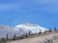 Aussicht auf Nigel Peak - Jasper Nationalpark - Kanada