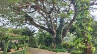 Soroa: Botanischer Garten